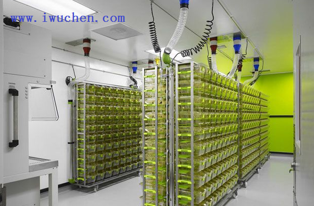 实验动物房工程|spf动物房|洁净动物房工程设计方案